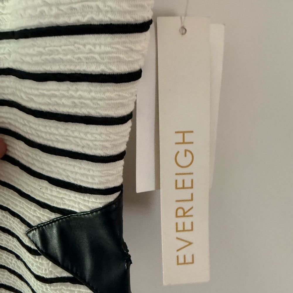 New Everleigh Bodycon Black and White Striped Dress - Picture 3 of 7